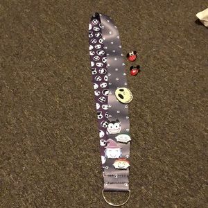 Disney lanyard with all the pins